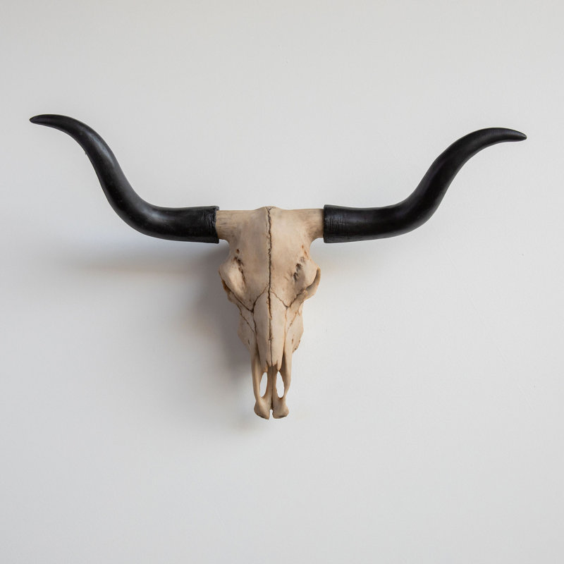 Millwood Pines Texas Longhorn Skull Wall Décor & Reviews | Wayfair
